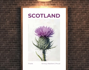 Scottish Thistle Print – National Flower of Scotland Poster