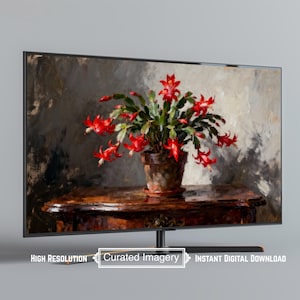 Op de afbeelding: Een digitaal schilderij van een kerstcactus in pot met felrode bloemen en groene bladeren. De plant staat op een donkere houten tafel, met een neutrale achtergrond. De afbeelding wordt weergegeven op een flatscreen-tv. De tekst op het scherm luidt "Curated Imagery".