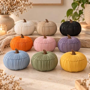 May include: A collection of nine small, round, ribbed pumpkin-shaped containers with brown stems. The set features a variety of solid colours including white, beige, black, orange, pink, purple, light blue, sage green, and yellow.
