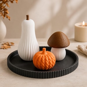 May include: A black circular tray with a ribbed edge holds three decorative objects: a tall white gourd with a brown stem, a small round orange pumpkin with a twisted texture, and a mushroom with a brown cap and a white ribbed stem.