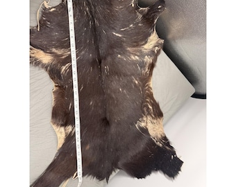 Hand-Painted Screen Print Goat Hide Wall Art Southwestern Native New Mexico