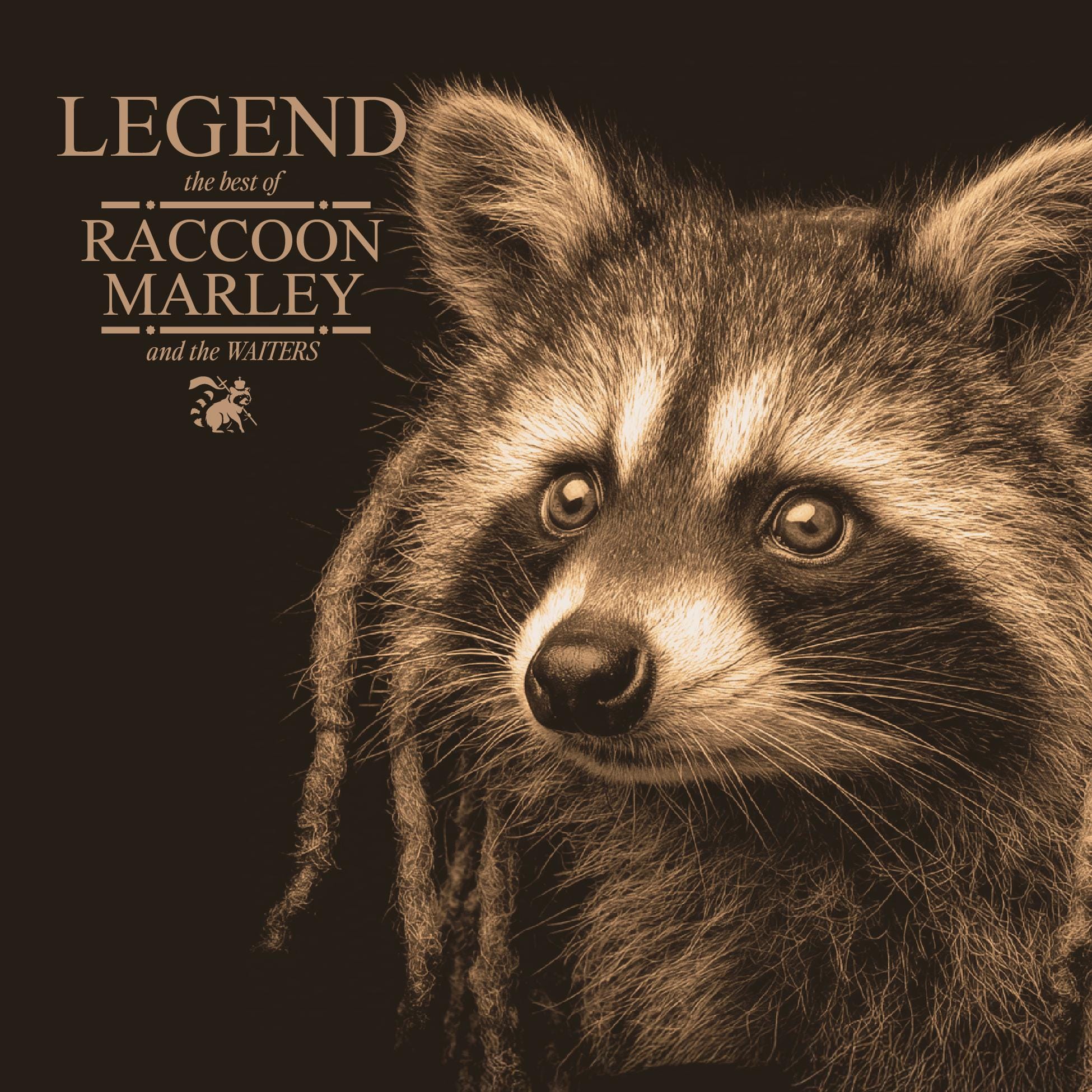 Raccoon Reggae Album Art Print | Bob Marley Illustration (digital ...