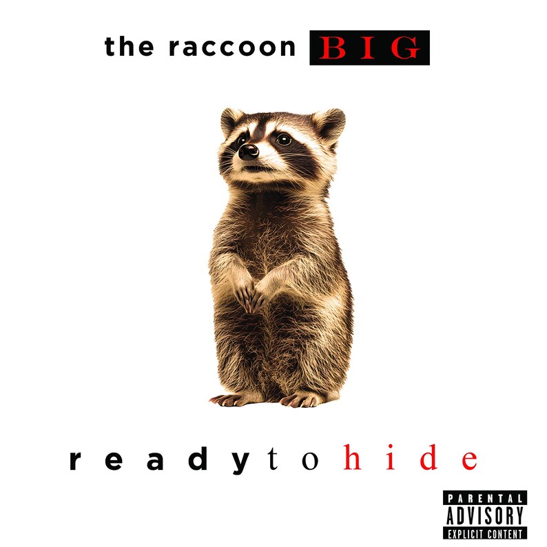 Raccoon 'ready to Die' Album Cover Art Parody | 13x13 Music Print ...