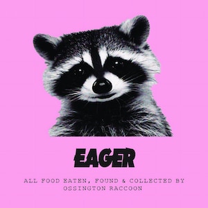 Puede incluir: Ilustración en blanco y negro de un mapache sobre un fondo rosa. La palabra «EAGER» está impresa en negrita, en negro. Debajo, el texto dice «ALL FOOD EATEN, FOUND & COLLECTED BY OSSINGTON RACCOON».