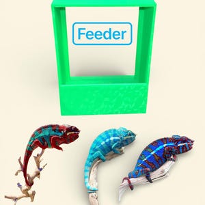 May include: A green, rectangular feeder with the word "Feeder" in a blue rectangle. Three colorful chameleons are perched on branches. One is red and teal, another is blue, and the third is blue and red.