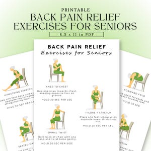 May include: Printable PDF document titled "Back Pain Relief Exercises for Seniors." The document features illustrations of exercises, including hamstring stretch, knee-to-chest, and spinal twist. The document measures 21.6 x 27.9 cm.