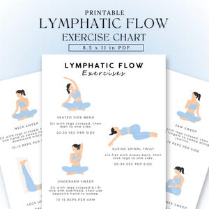 Puede incluir: Tabla de ejercicios de flujo linfático imprimible, 21,6 x 27,9 cm en formato PDF. La tabla presenta ilustraciones de ejercicios como barrido de cuello, flexión lateral sentado, torsión espinal supina, barrido de antebrazo, barrido de mandíbula y barrido de rodilla. Los ejercicios están diseñados para promover la salud linfática.