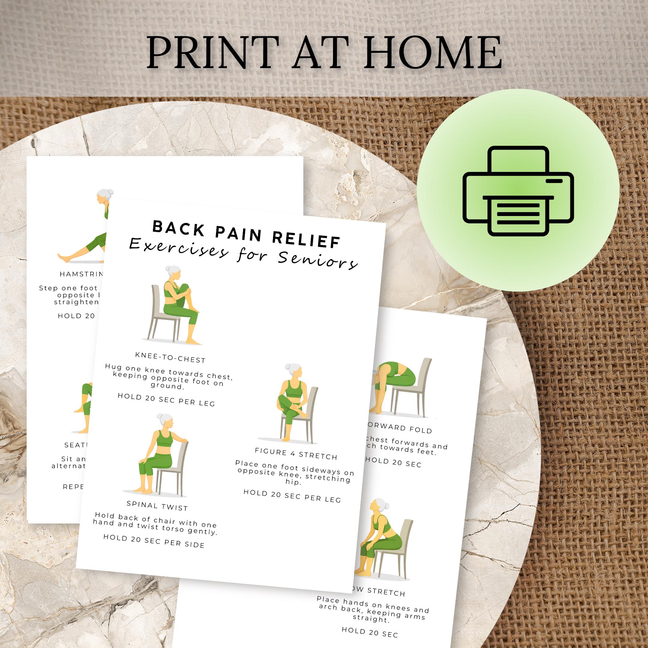Back Pain Relief Exercises for Seniors | Chair Yoga Printable | Lower ...