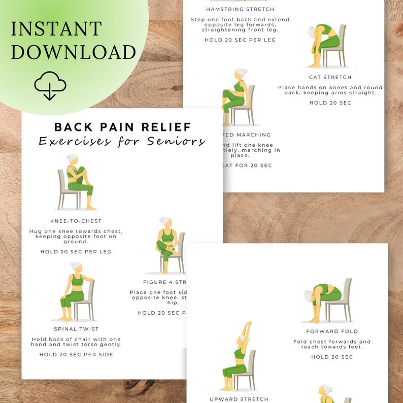 Back Pain Relief Exercises for Seniors | Chair Yoga Printable | Lower ...