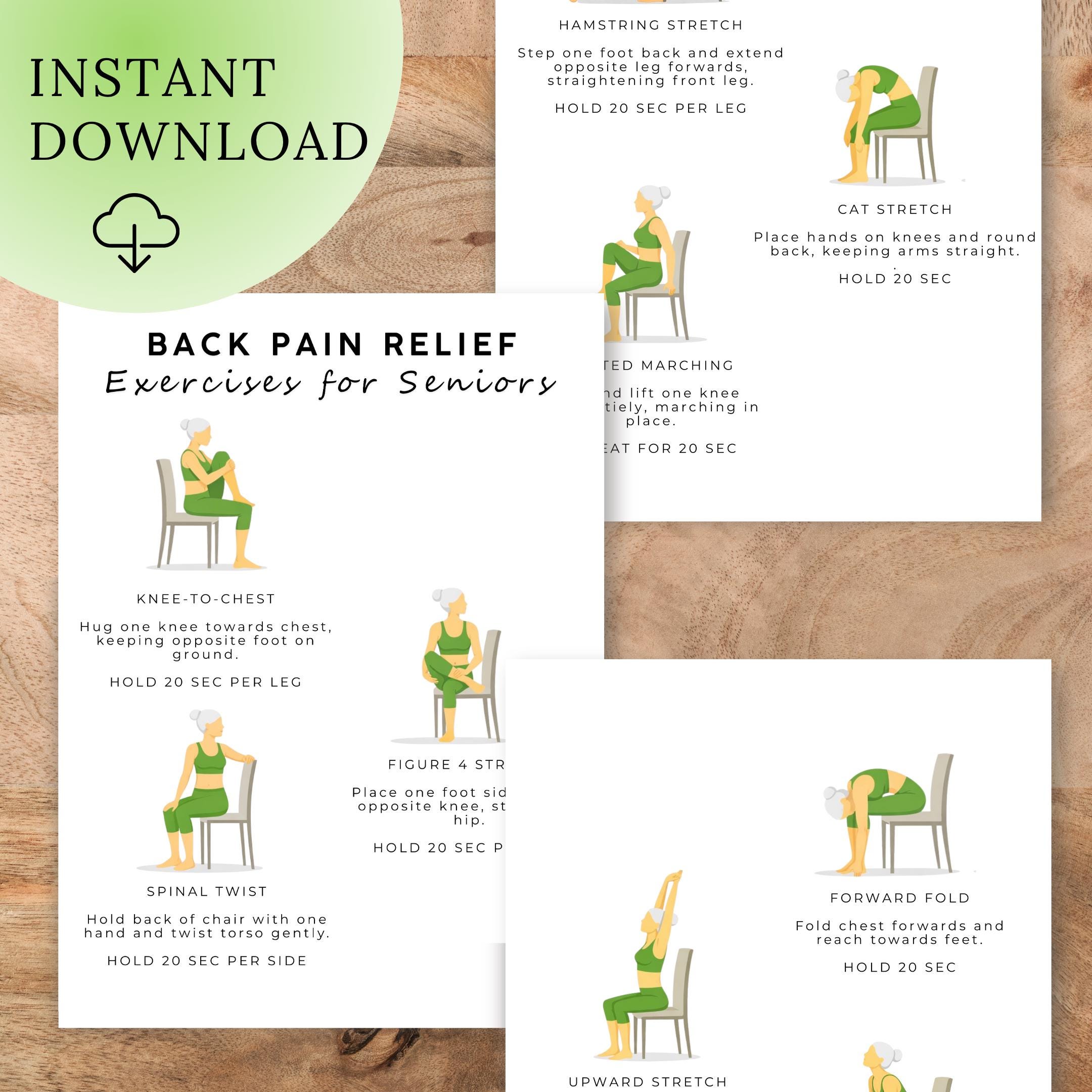 Back Pain Relief Exercises for Seniors | Chair Yoga Printable | Lower ...