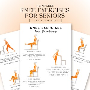 May include: Printable 8.5 x 11 inch PDF titled "Knee Exercises for Seniors." The document features illustrations of exercises, including calf stretches, single leg lifts, hamstring curls, knee squeezes, and sit-to-stand exercises. Each exercise is demonstrated with an orange-clad figure.