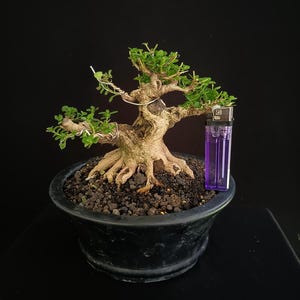 Pode incluir: Um conjunto de três canecas de cerâmica com acabamento fosco e salpicado. Cada caneca apresenta uma cor diferente: azul claro, creme e cinza. As canecas têm um design simples e moderno e uma alça confortável.