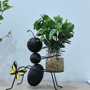 May include: A white ceramic mug with a black handle and the text "But First, Coffee" in a black, handwritten-style font. The mug is on a white surface.