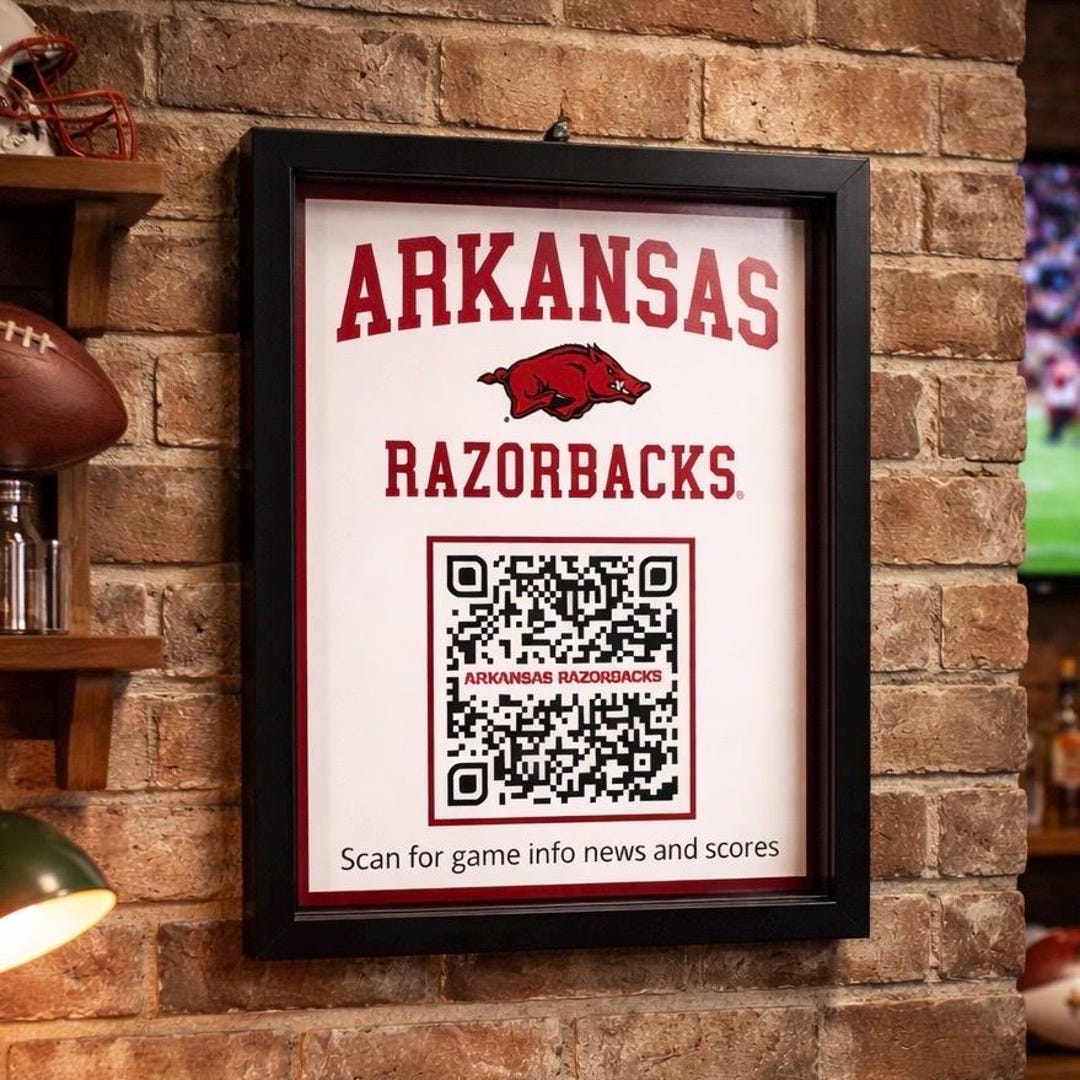 Arkansas Razorbacks Shadow Box | Hogs Fan Gift | Man Cave Decor ...