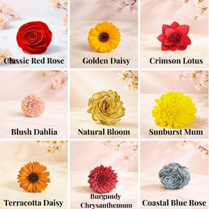 May include: A collection of nine artificial flowers in various colors, including red, yellow, pink, and blue. Each flower is labeled with its name, such as "Classic Red Rose" and "Golden Daisy". The flowers are arranged on a light pink background.