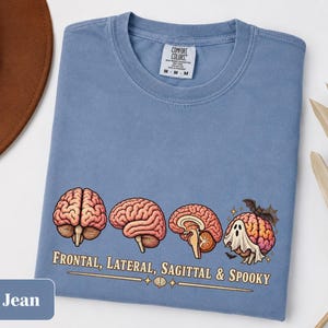 May include: A blue jean colored t-shirt featuring a graphic of four human brains in different views. The text below reads: Frontal, Lateral, Sagittal & Spooky. The fourth brain is wearing a white ghost sheet and has a small black bat on top.