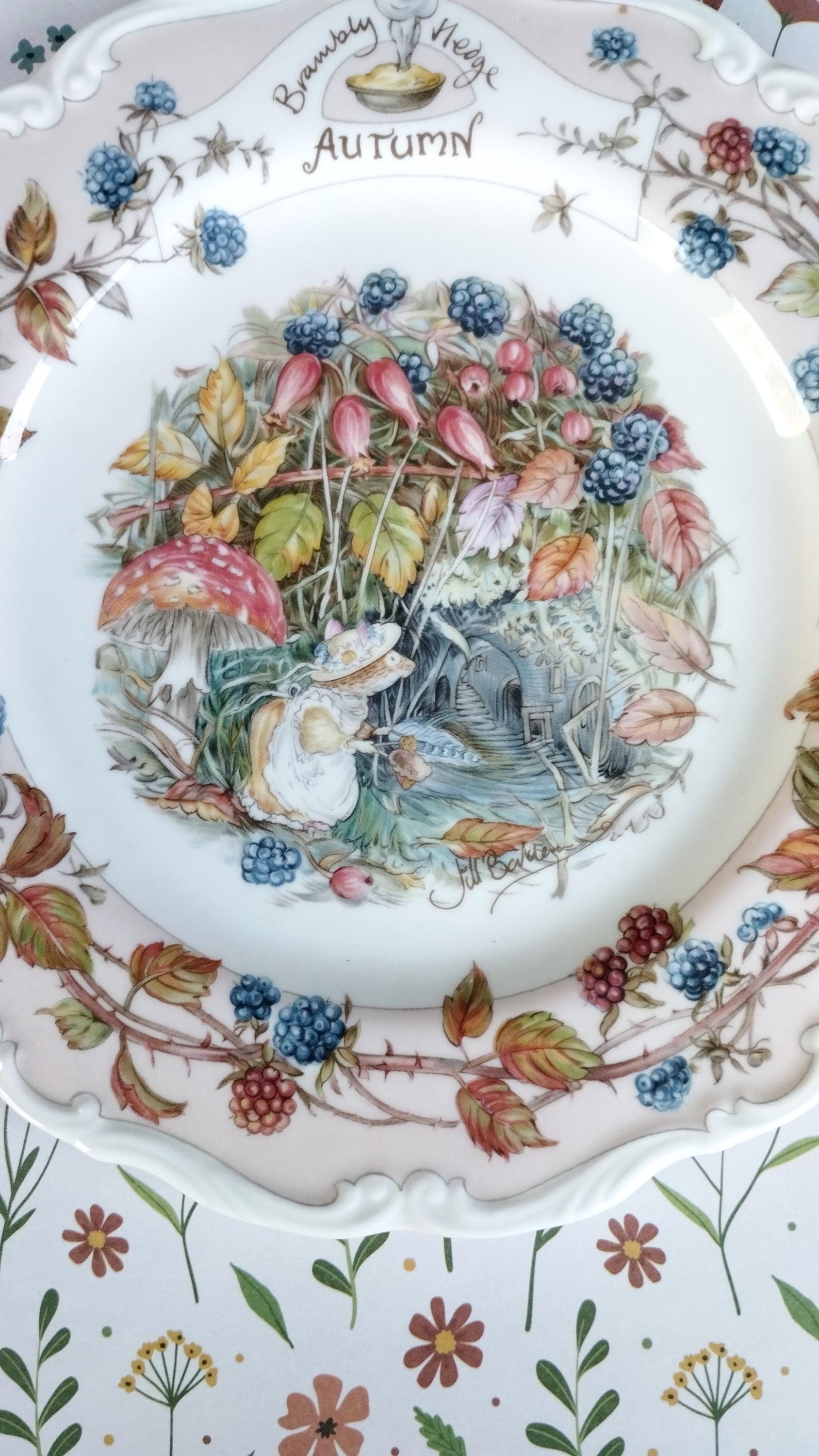Brambly Hedge Autumn - Etsy Canada