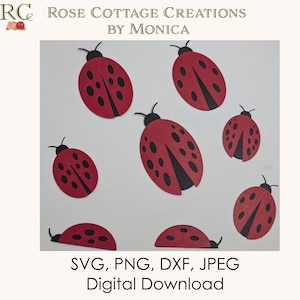 Könnte beinhalten: Rote Marienkäfer-Ausschnitte mit schwarzen Punkten und Antennen auf weißem Hintergrund. Der Text "SVG, PNG, DXF, JPEG Digital Download" und das Logo von Rose Cottage Creations sind ebenfalls enthalten.