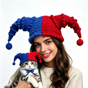 May include: A matching set of two jester hats, one for a human and one for a cat, both featuring a split blue and red design with two long, curved, textured horns ending in small pom-poms. The cat hat includes a blue tie under the chin.