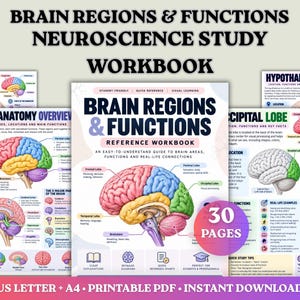 Peut inclure: Un cahier d'exercices de neurosciences intitulé Brain Regions & Functions présentant une illustration anatomique colorée du cerveau humain, des schémas détaillés, du texte éducatif et un badge circulaire indiquant 30 pages.