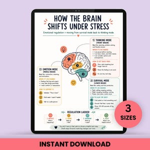 May include: A digital educational chart titled How the Brain Shifts Under Stress, featuring a central brain illustration divided into three colour-coded sections, with text boxes explaining Thinking Mode, Emotion Mode, and Survival Mode, plus a Regulation Ladder.