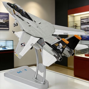 May include: A detailed model of an F-14 Tomcat fighter jet, mainly grey with white and black details. The model has the number "200" on the wings and tail, and a skull and crossbones emblem. It is mounted on a silver stand.