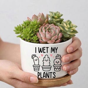 I Wet My Plants Succulent Planter, Funny Plant Pot, Cute Cactus Planter, Gift for Plant Lover, Humorous Gardener Gift