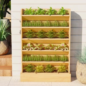 May include: A wooden vertical garden with six shelves, each holding various green plants. The plants vary in size and shape, creating a visually appealing display. The structure is made of light-colored wood and is placed against a white wall.