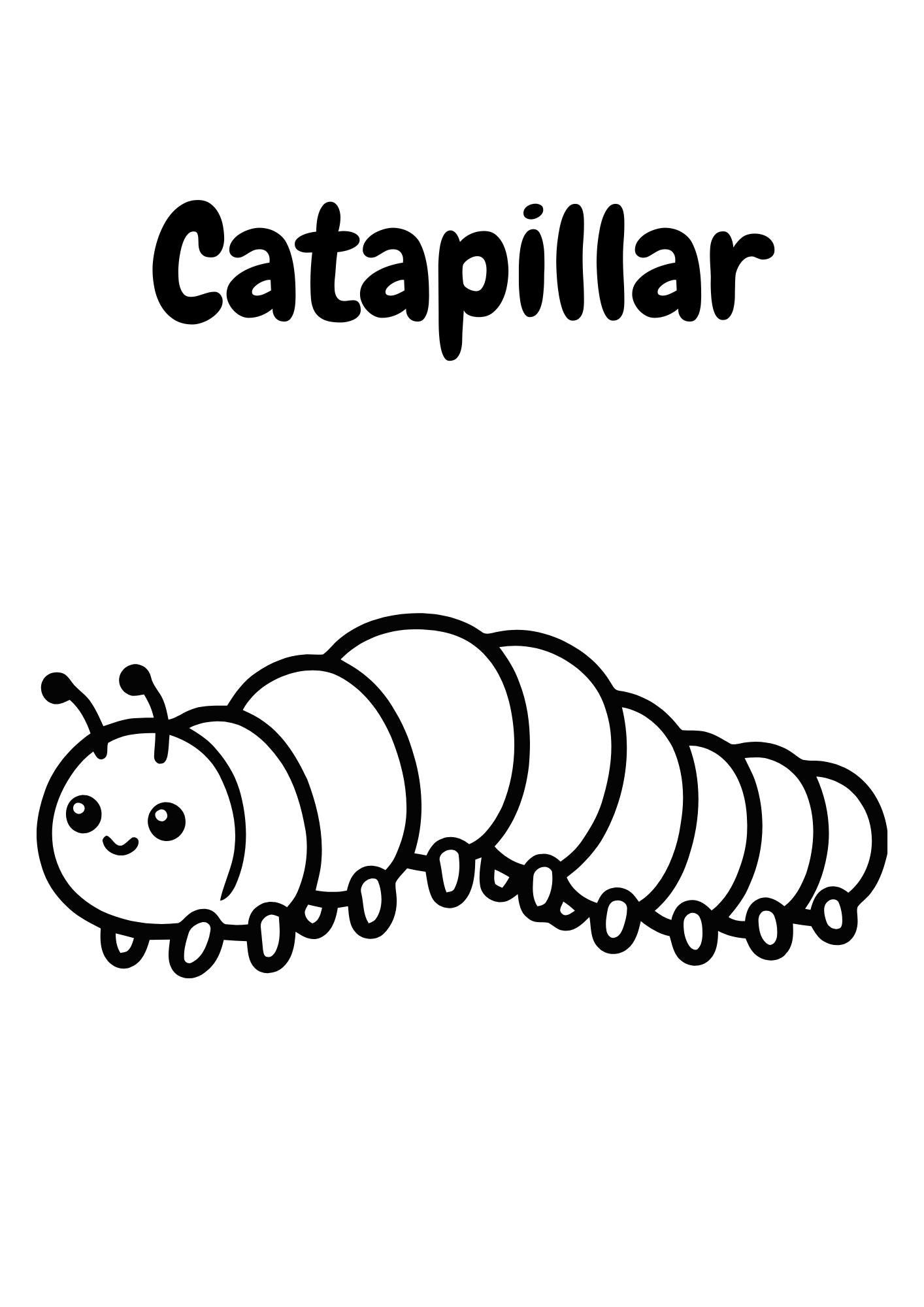 Caterpillar Coloring Page Printable | Kids Bug Activity Sheet (digital ...