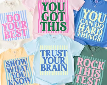 Test Day Shirt, Matching State Testing Shirts, Teacher Team TShirts, Comfort Colors, Cute School Testing Day Tee, Testing Coordinator Shirt