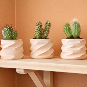 Peut inclure: Trois petits cactus dans des pots rose clair à spirales sont posés sur une étagère en bois. Les cactus sont verts et de formes et tailles variées. L'arrière-plan est de couleur orange-brun uni.