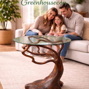 May include: A distinctive coffee table featuring a clear glass top supported by a base made of dark brown, organically shaped wood, reminiscent of a tree. The table is a focal point in a living room.