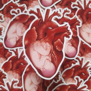 May include: A close-up of a stack of stickers featuring a stylized anatomical heart with a baby inside. The heart is red and the baby is pink and white.