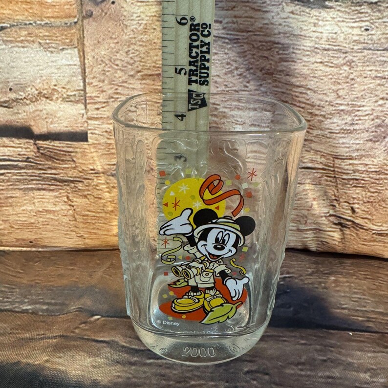 Vintage 2000 Disney World Mickey Mouse Animal Kingdom McDonald's Glass Tumbler image 7