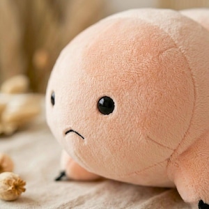 Puede incluir: Un peluche de color melocot&oacute;n claro con una expresi&oacute;n triste. El juguete tiene dos ojos negros y una boca cosida y curvada. El peluche est&aacute; hecho de un material difuso.