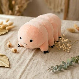 Puede incluir: Un peluche rosa con forma de oruga con una expresi&oacute;n ligeramente malhumorada. El juguete de peluche tiene ojos negros y peque&ntilde;os pies negros. Descansa sobre una superficie de lino de color neutro, con flores secas y vegetaci&oacute;n en el fondo.