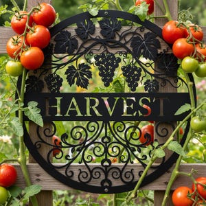 Könnte beinhalten: Schwarzes Metall-Gartenschild mit dem Wort "HARVEST" und Trauben- und Blattmotiven. Das Schild ist von Tomatenpflanzen mit roten und grünen Tomaten umgeben. Das Schild ist an einem Holzzaun befestigt.