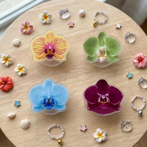 May include: Four orchid-shaped phone grips featuring yellow, green, light blue, and dark purple petals. The set is surrounded by small decorative items including miniature flowers, cat-shaped charms, star-shaped beads, and three beaded rings with bells.