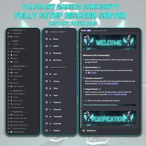 Configurazione del server Discord di Valorant Gaming / Ruoli personalizzati, canali, bot (download immediato)