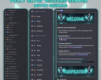 Configuración del servidor Discord de Valorant Gaming / Roles, canales y bots personalizados (descarga instantánea)