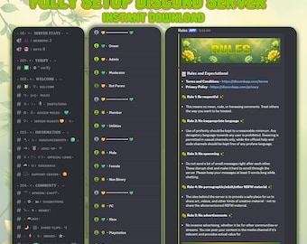 Configuración de servidor Discord amarillo-verde prefabricado / Comunidad organizada (descarga digital)
