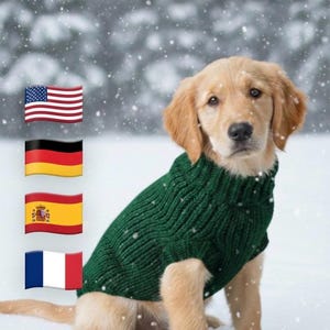 Może przedstawiać: Szczeniak golden retriever w zielonym swetrze z golfem siedzi na śniegu. Obraz zawiera tekst „WZÓR DOSTĘPNY W CZTERECH JĘZYKACH” i wyświetla flagi Stanów Zjednoczonych, Niemiec, Hiszpanii i Francji.