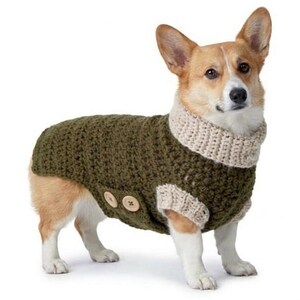 May include: A corgi dog wearing a green crocheted sweater with a beige collar and trim. The sweater has two wooden buttons. The dog is standing on a white background.