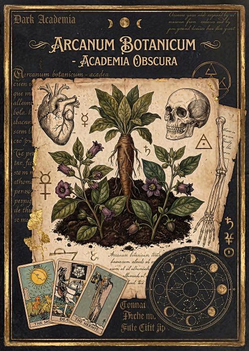 Dark Academia Botanical Print, Vintage Gothic Home Decor (digital ...