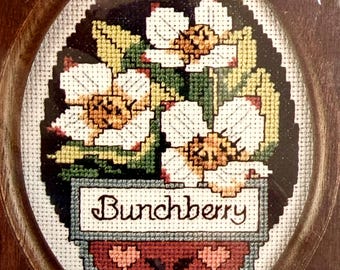 Paragon Cross Stitch Kit  BUNCHBERRY Beautiful Little Project. Solid Wooden  Frame -Make It Today !
