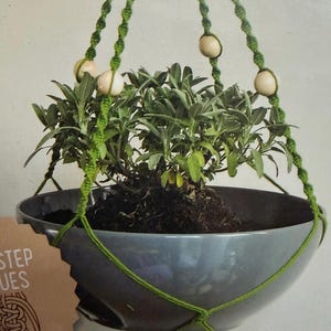 May include: A green macrame plant hanger with light-colored wooden beads holding a gray bowl containing a green leafy plant. A brown paper tag with the partial text STEP UES and a line drawing of a knot pattern is attached to the side of the bowl.