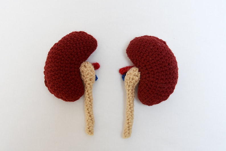 Kidneys Crochet Pattern Amigurumi Organs Pattern Amigurumi Etsy