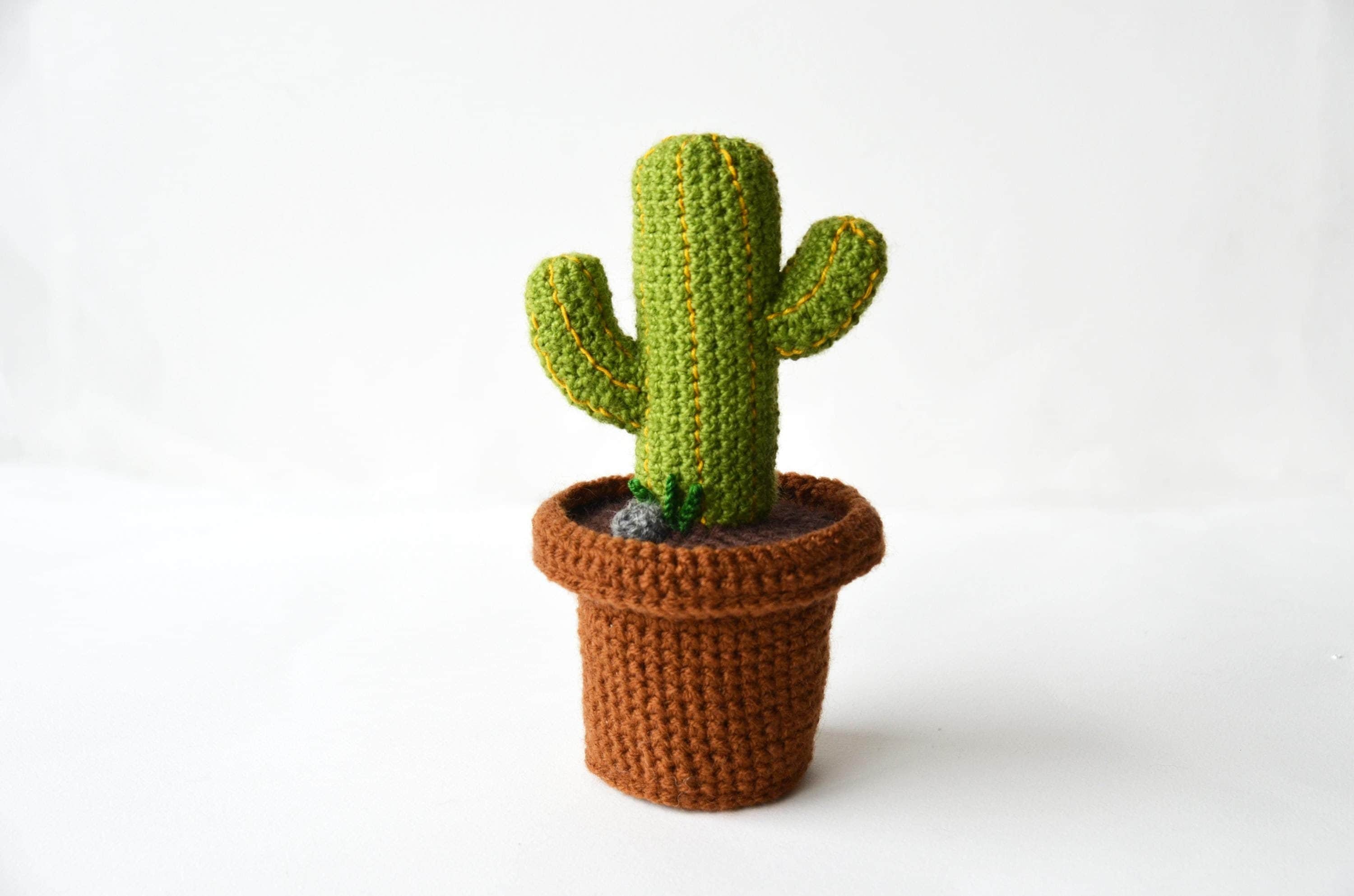 39 Free and Paid Crochet Cactus Patterns You’ll Want To Try 35 Desert Cactus Crochet