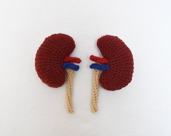 Kidneys Crochet Pattern, Kidney Crochet Pattern, Kidney Amigurumi Pattern, Organs Crochet Pattern, Organ Amigurumi Pattern, Biology Pattern