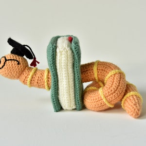 May include: A crocheted worm wearing a graduation cap and glasses is holding a book with a green cover. The worm is orange with yellow stripes.